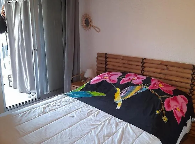 公寓 Duplex Cap D Piscine 阿格德